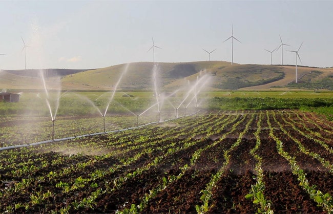 Niğde Bor A.T. ve T.İ.G.H. Projesi